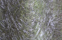 Wickstreet fibreglass roof work